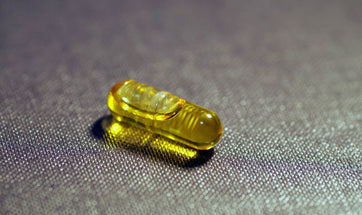 Fish Oil For Dogs- What Does It Do For Our Pet's Health?