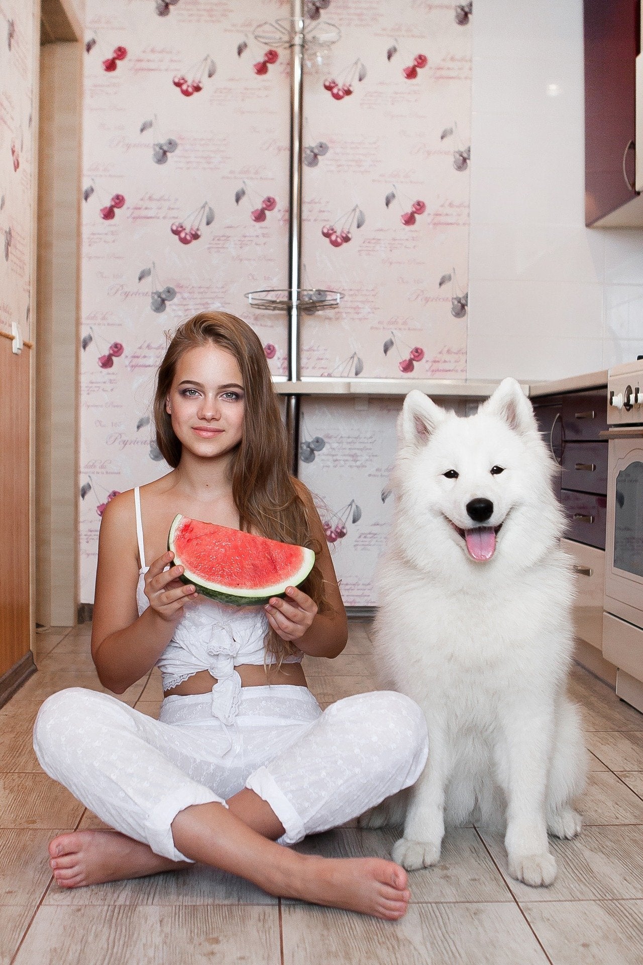 Fruits For Dogs: What Common Fruits Can Dogs Eat? | Poochles India