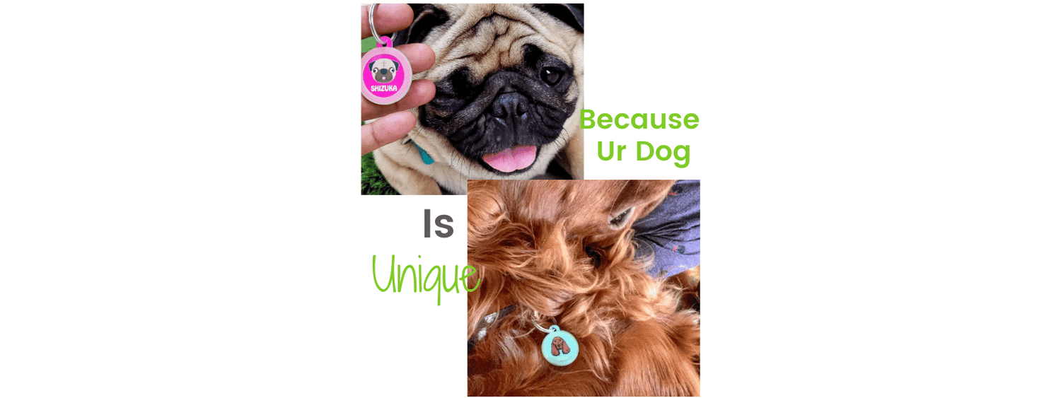 Dog Tags For Puppies
