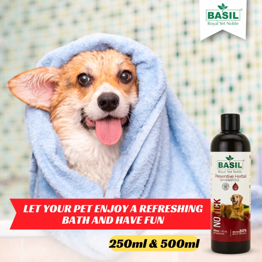 Basil Herbal No Tick Dog Shampoo (Paraben Free)