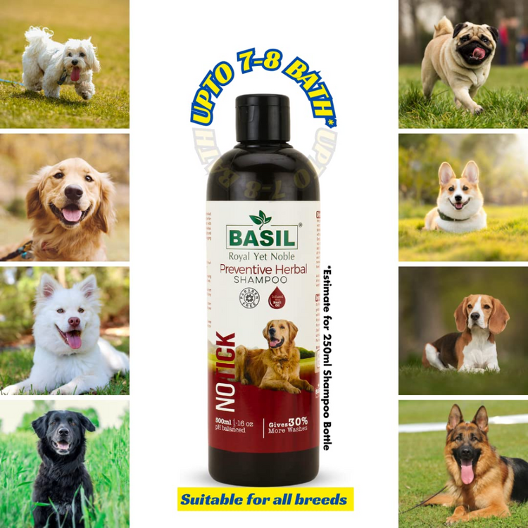 Basil Herbal No Tick Dog Shampoo (Paraben Free)