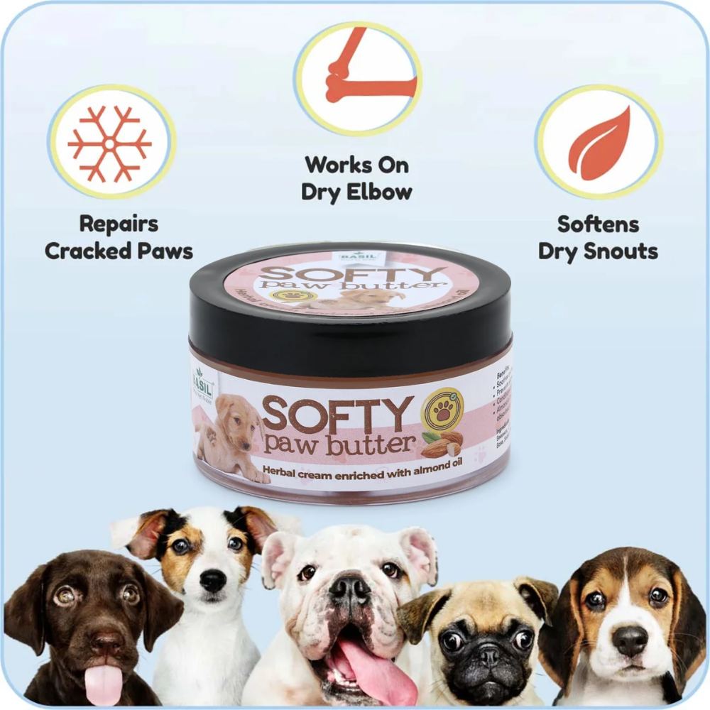 Basil Softy Paw Butter (Herbal Cream Enriched With Almond Oil)- 50 Gms