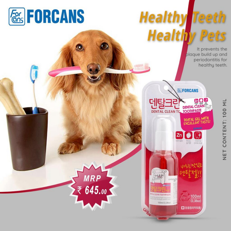 Forcans Dental Clean Toothpaste for Dogs - 100ml