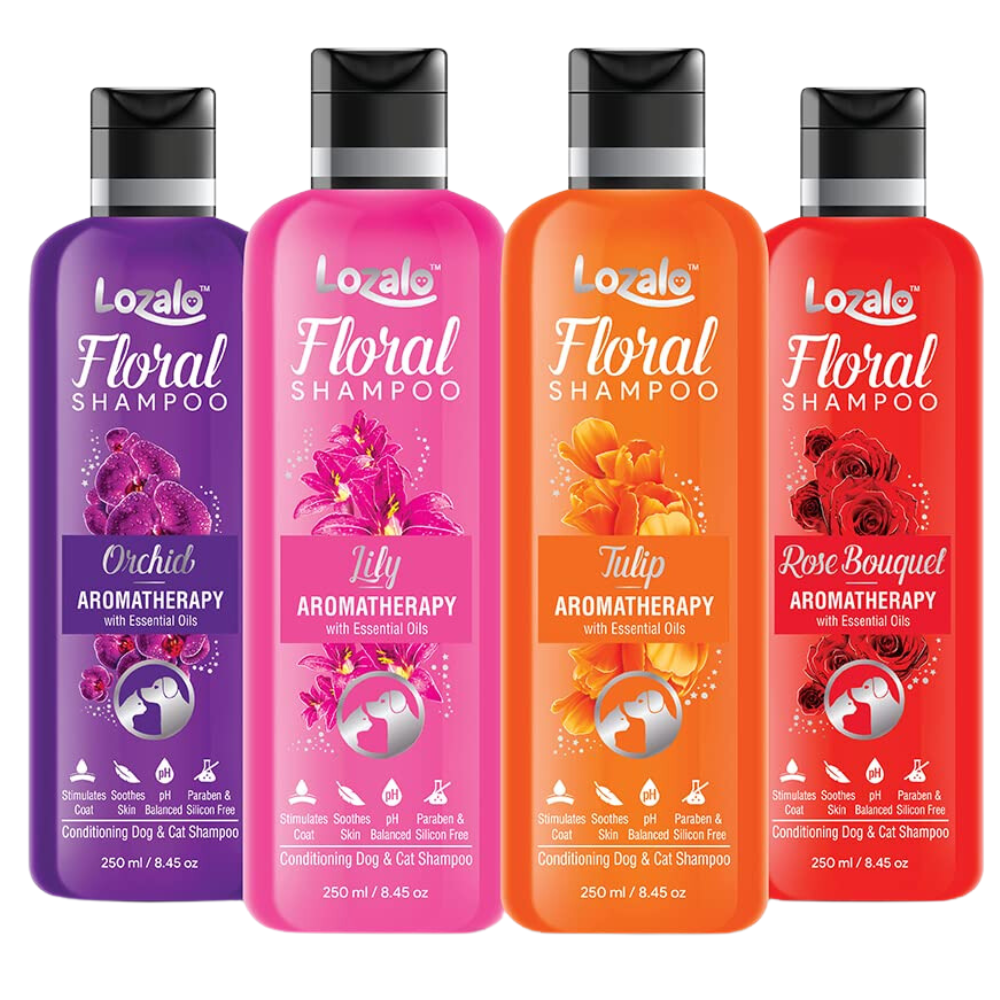 Lozalo Floral Conditioning Shampoo(Rose Bouquet)for Dogs & Cats 250ml.