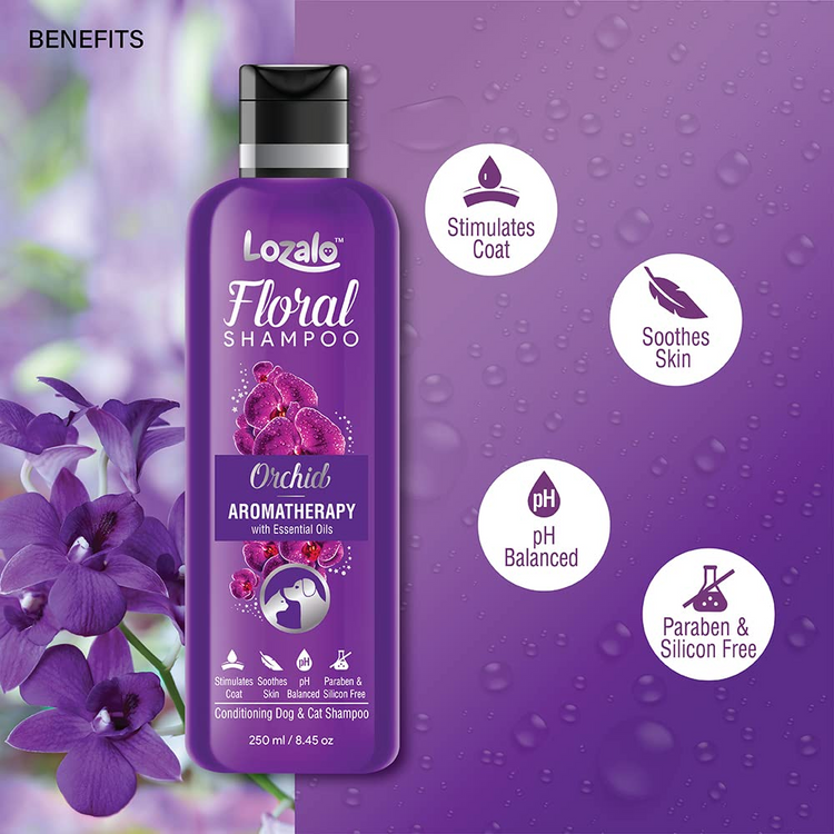 Lozalo Floral Conditioning Shampoo(Orchid)for Dogs & Cats 250ml.