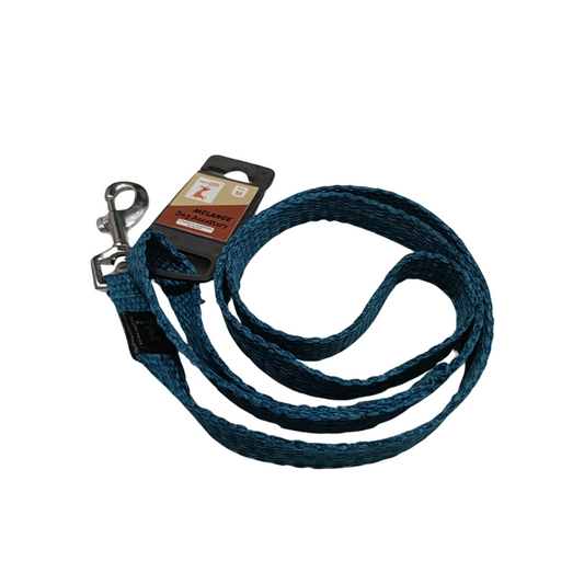 Pet's Pot Melange Regular Dog Leash Medium Blue Green