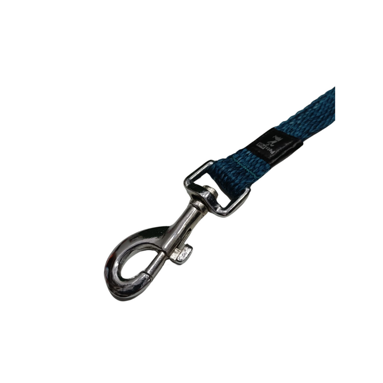 Pet's Pot Melange Regular Dog Leash Medium Blue Green