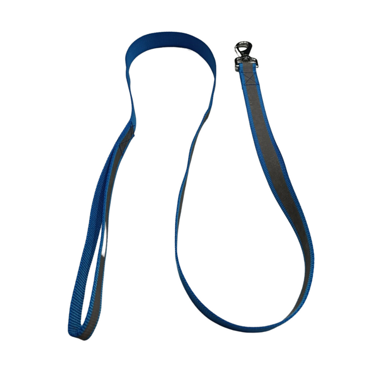 Poochles Regular Dog Leash for All Breeds - Medium to Large Blue With Graphite