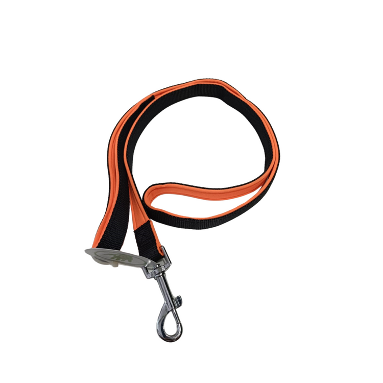 Soft Padded Leash For Puppies and Small Dogs - Assorted  Small to Medium