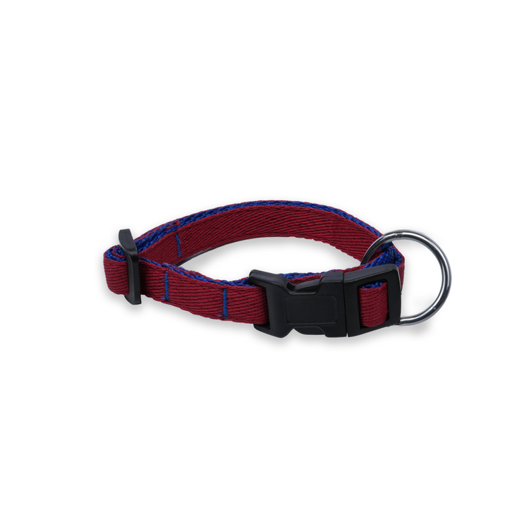 Pet's Pot Pet Walk Premium Dog Collar XS