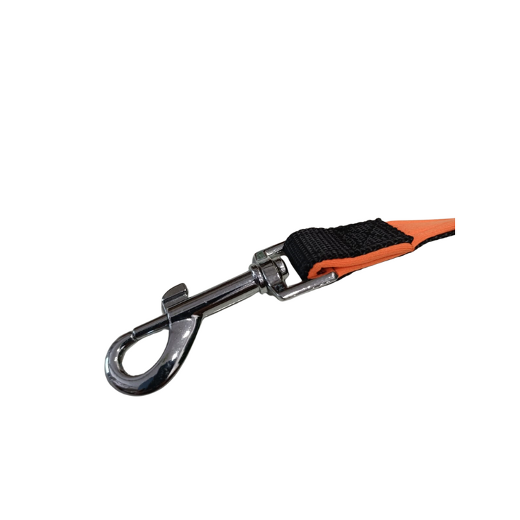 Soft Padded Leash For Puppies and Small Dogs - Assorted  Small to Medium