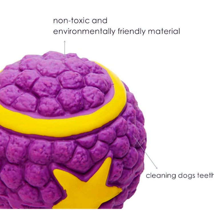 EE Latex With Star Ball Squeaky Dog Toy (Small)