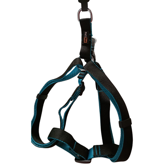 Pet's Pot Pet Walk Premium Step In Harness Black With Cyan