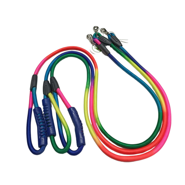 Poochles Vibrant Rainbow Dog Leash For All Breeds Small to Medium - Assorted Color