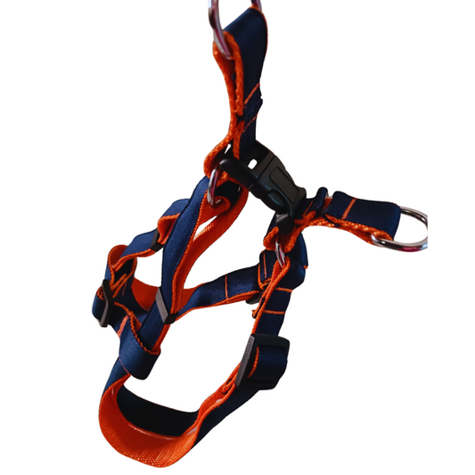 Pet's Pot Pet Walk Premium Step In Harness Navy Blue with Orange - Medium
