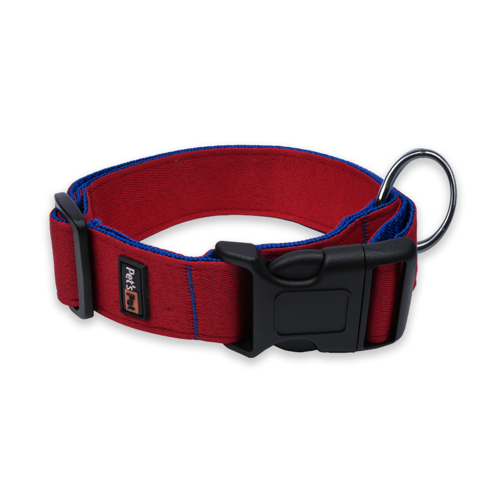 Pet's Pot Pet Walk Premium Dog Collar X-Large
