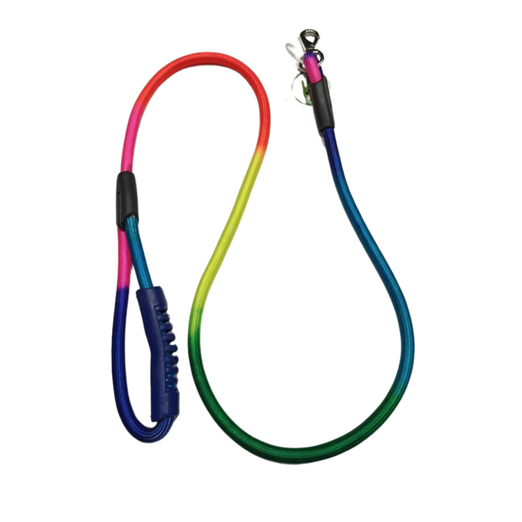 Poochles Vibrant Rainbow Dog Leash For All Breeds Small to Medium - Assorted Color