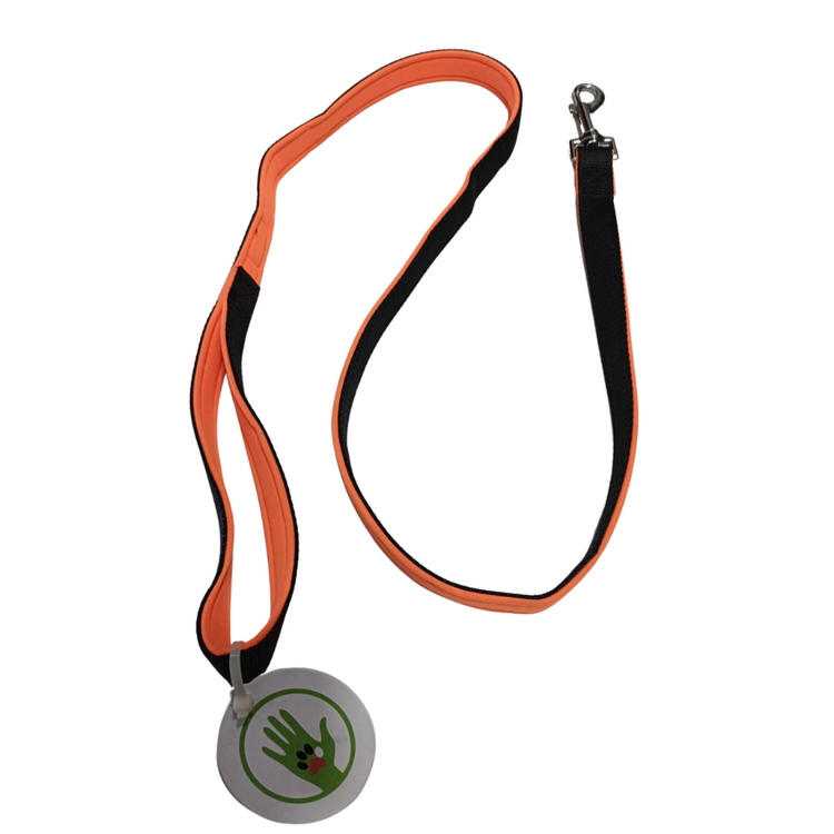 Soft Padded Leash For Puppies and Small Dogs - Assorted  Small to Medium