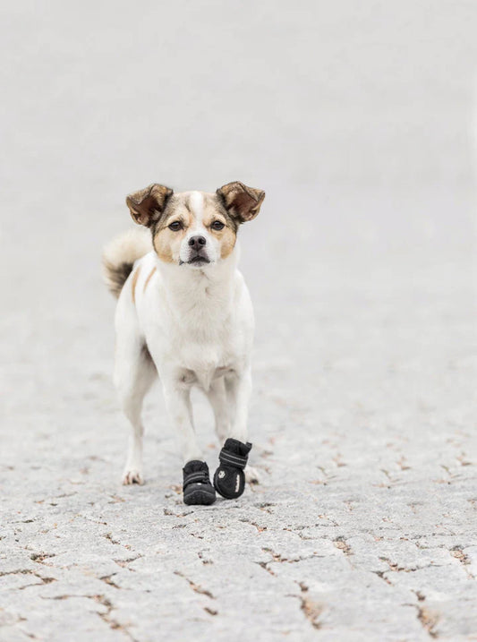 Trixie Walker Active Protective Boots Pomeranian Black (2 Pcs)