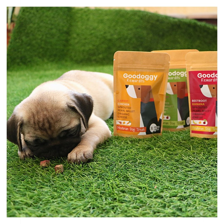 Poochles Goodoggy Rewardits | Fruitarian Dog Treats (Banana & Beetroot)