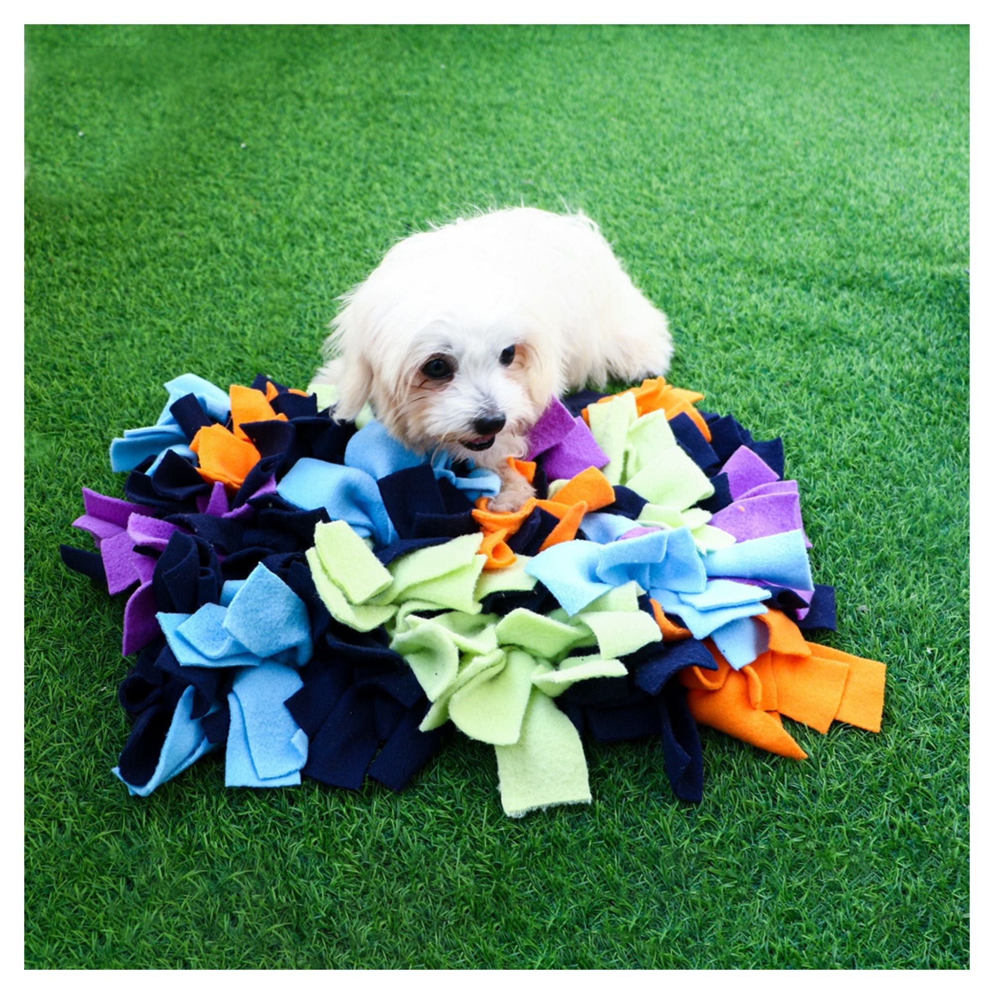 Dog Snuffle Puzzle Mat Toy + Feeding Mat 2in1 - Galaxy