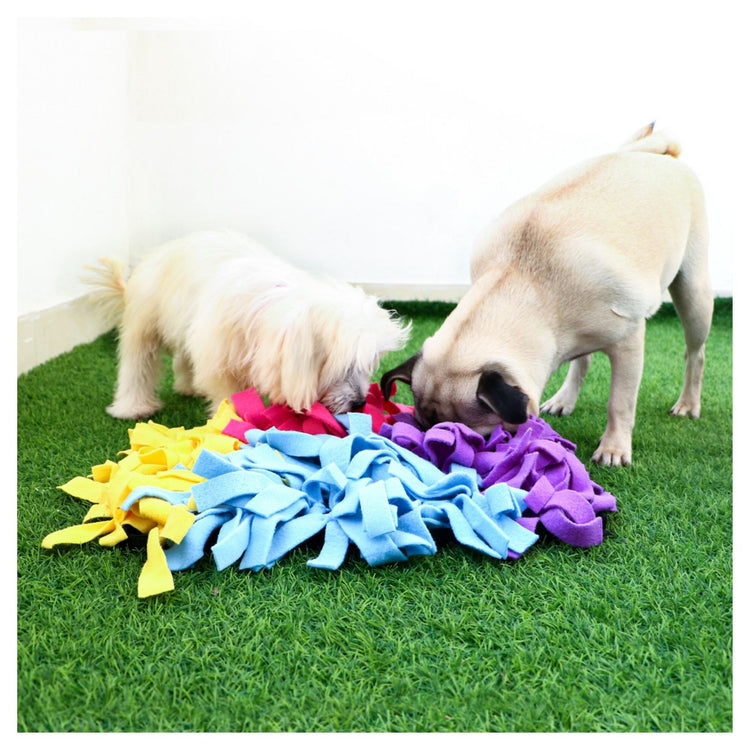 Dog Snuffle Puzzle Mat Toy + Feeding Mat 2in1 - Marbel