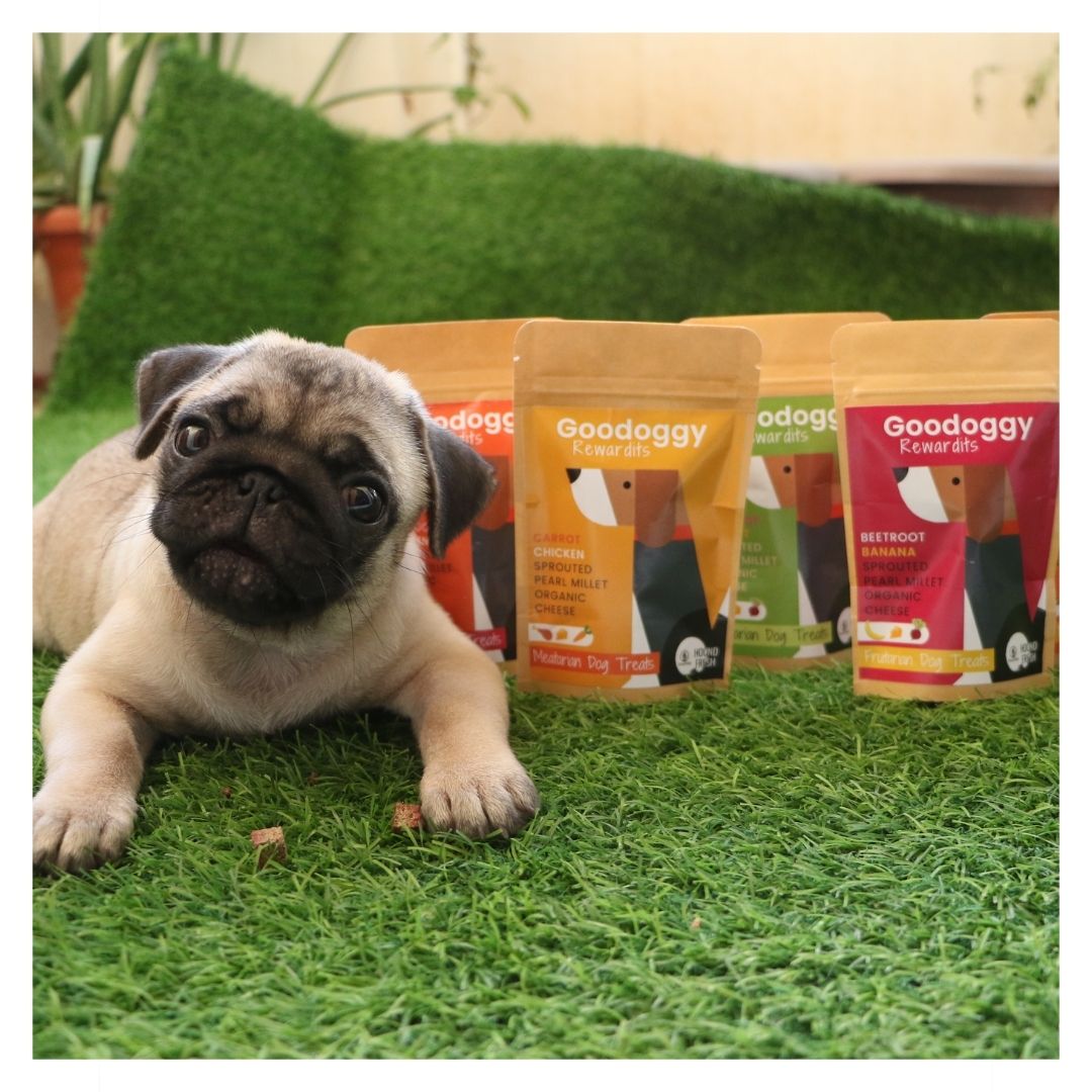 Poochles Goodoggy Rewardits | Meatarian  Dog Treats (Chicken&Beetroot)