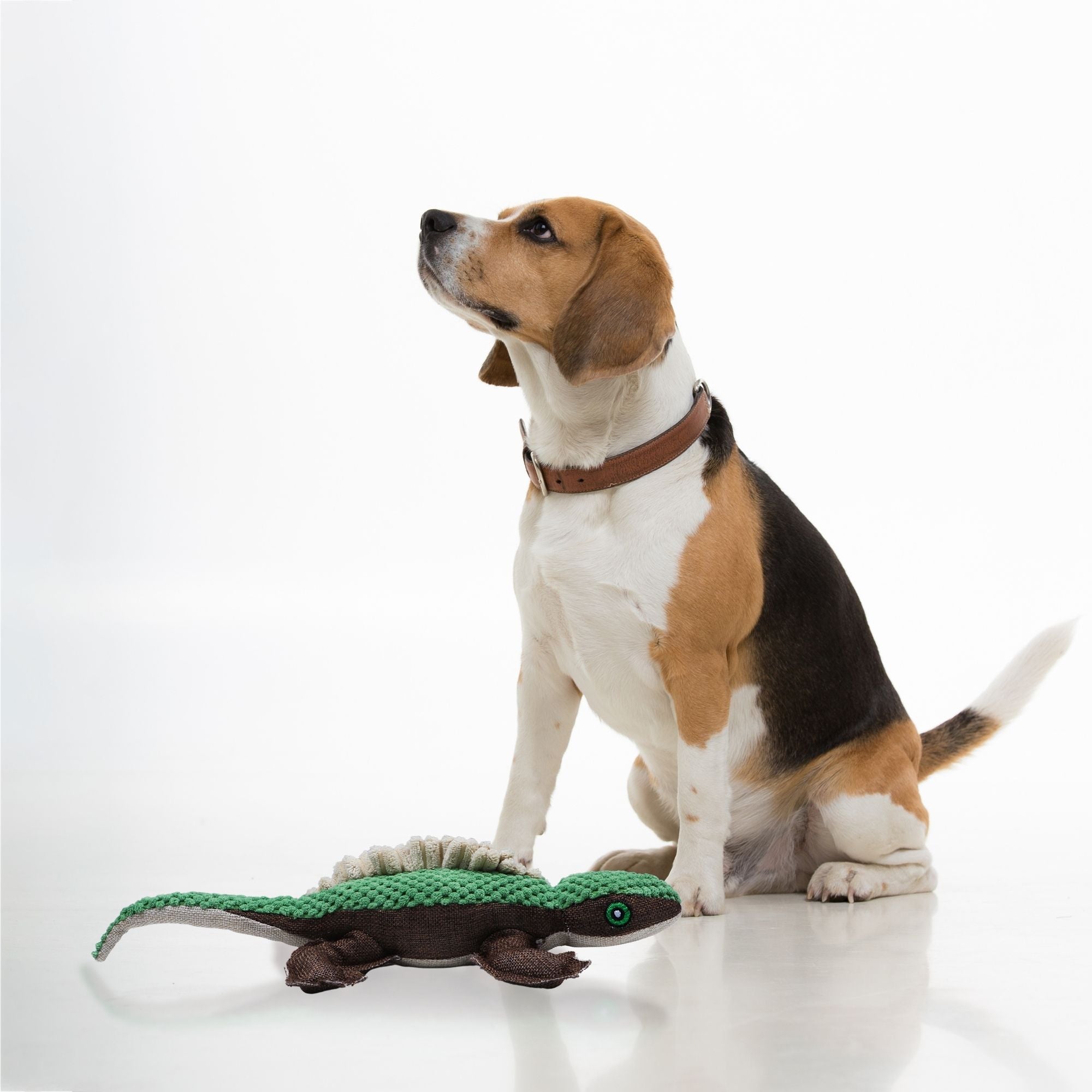 Waggy The Gator Soft Plush Dog Toy For All Dogs