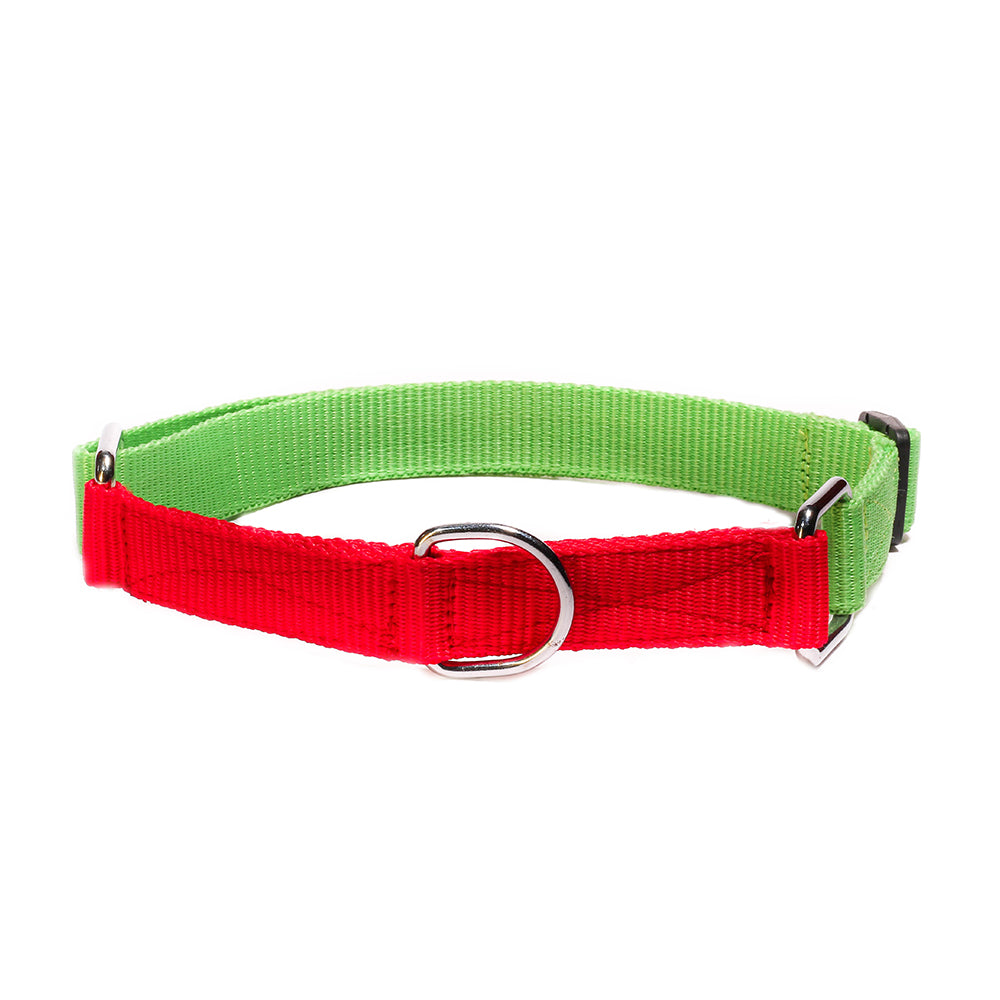 Poochles Poly Dual Shade Adjustable Dog Collar