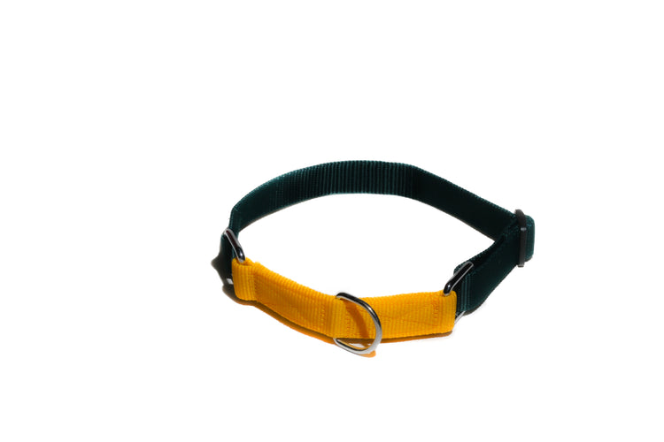 Poochles Poly Dual Shade Adjustable Dog Collar