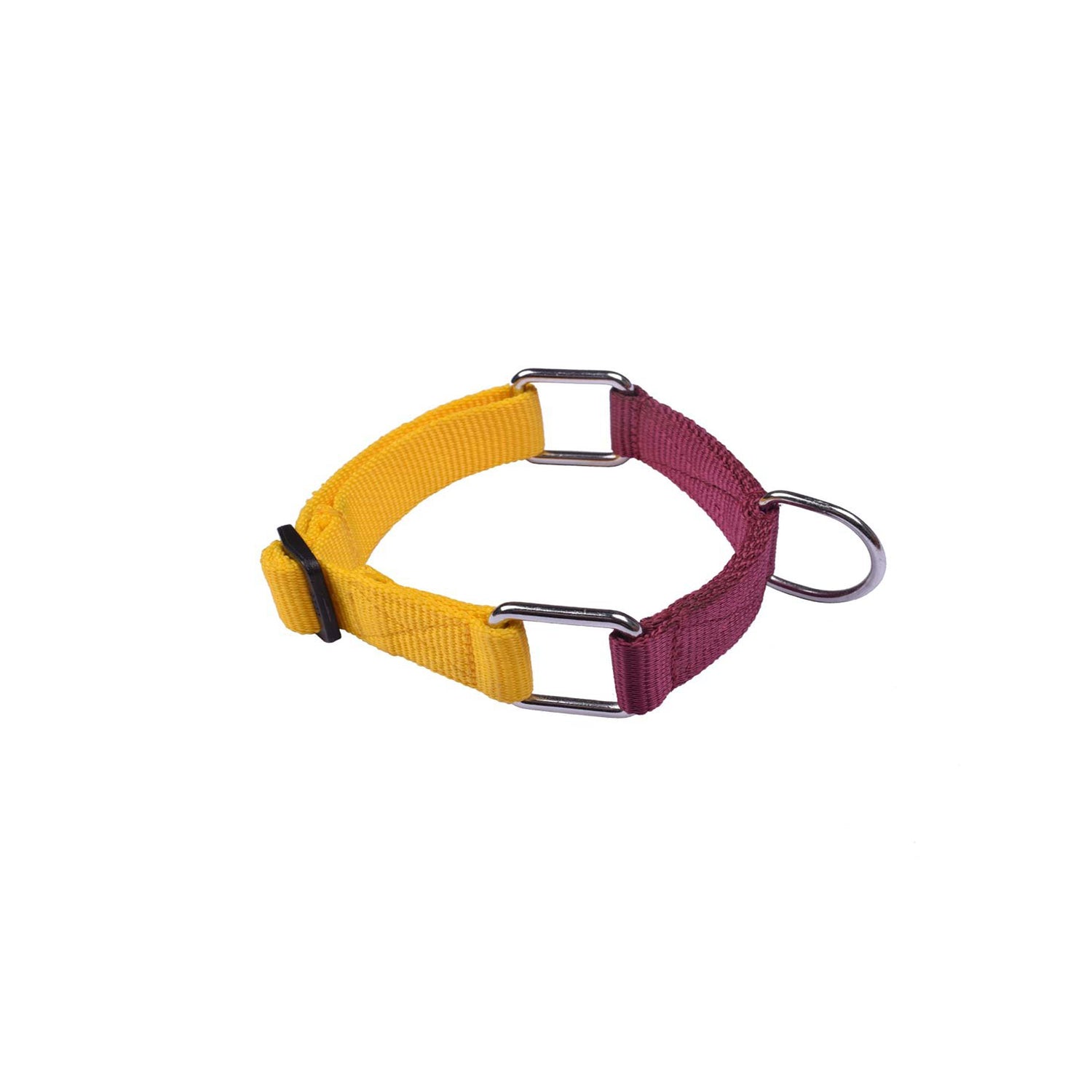 Poochles Poly Dual Shade Adjustable Dog Collar