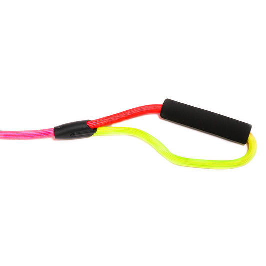 Poochles Vibrant Rainbow Puppy Leash