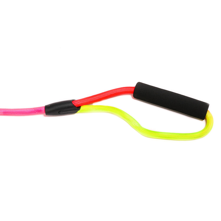 Poochles Vibrant Rainbow Puppy Leash