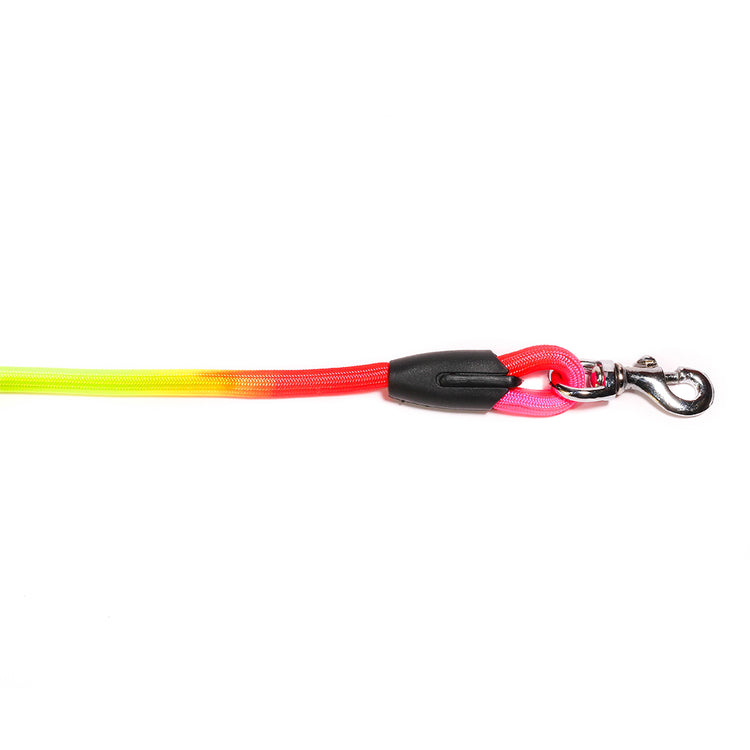 Poochles Vibrant Rainbow Puppy Leash
