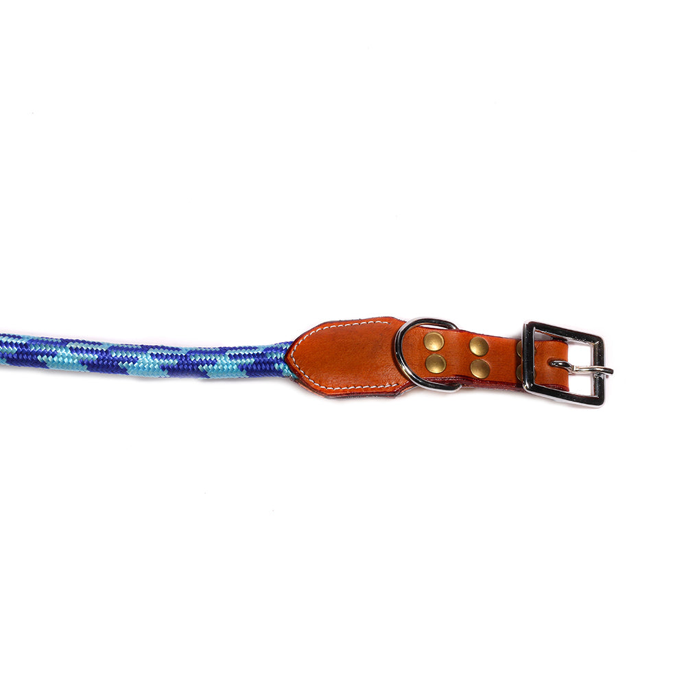 Poochles Nylon with Leather Padded Dog Collar