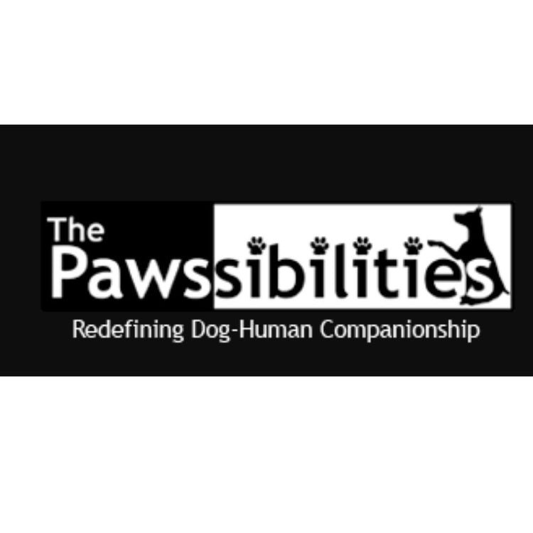 The Pawssibilities Chitlapakkam, Chennai