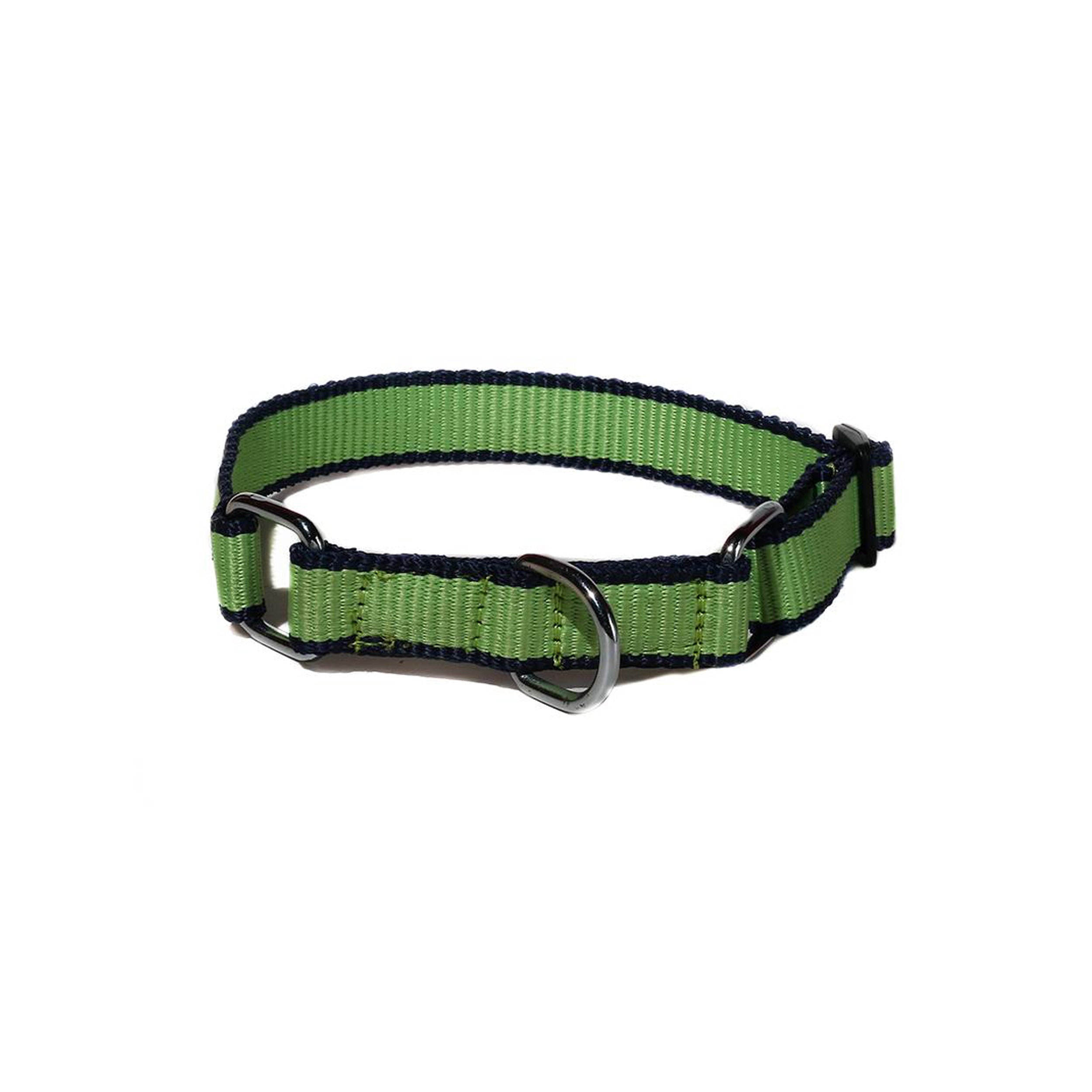 Poochles Poly Dual Shade Adjustable Dog Collar