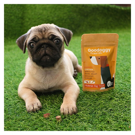 Poochles Goodoggy Rewardits | Meatarian Dog Treats (Chicken&Carrot)