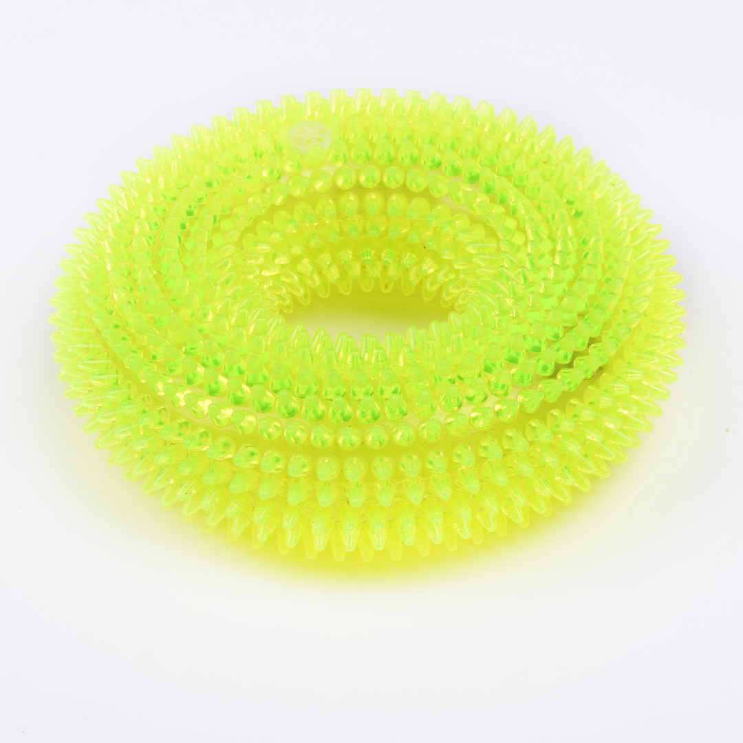 Dog Spiky Squeaky Circular Chew Toy