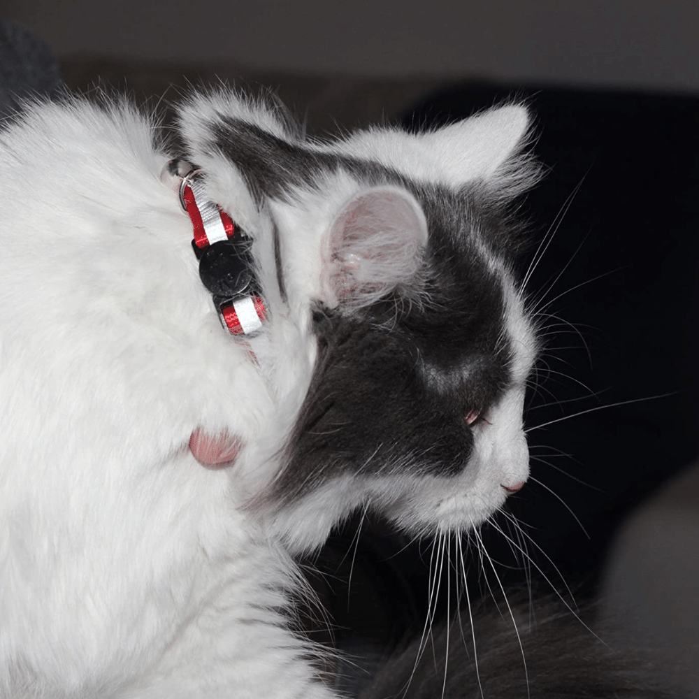 Stylish Reflective Cat Collar - Assorted