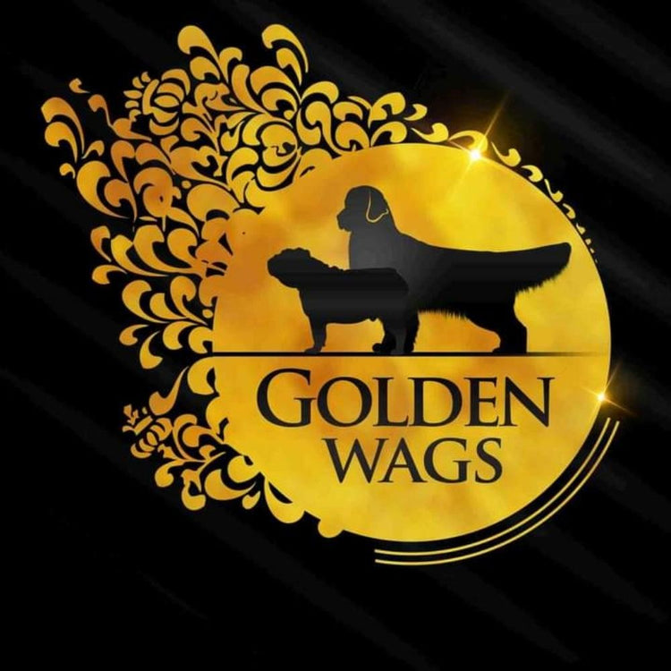 Golden Wags House Of Show Quality Dogs And Pups (Breeder) Rajajinagar, Bengalore
