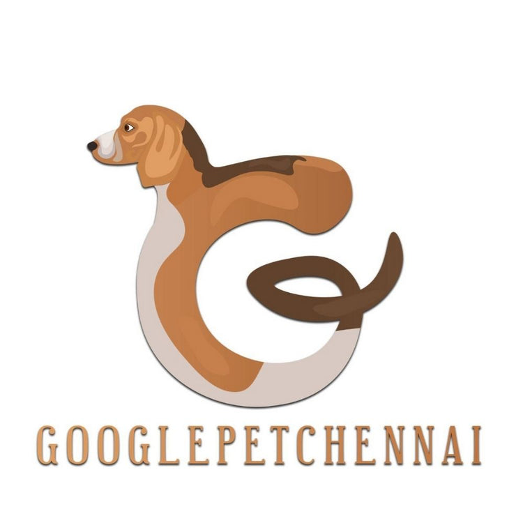 Google Pet Boarding Chennai