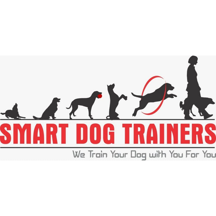 Smart Dog Trainer Chennai