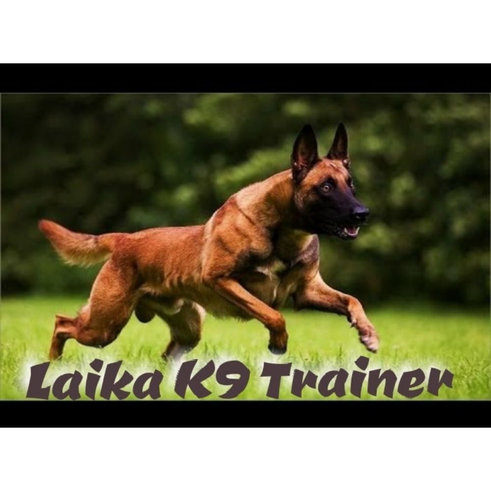 Laika K9 Dog Trainer Chennai