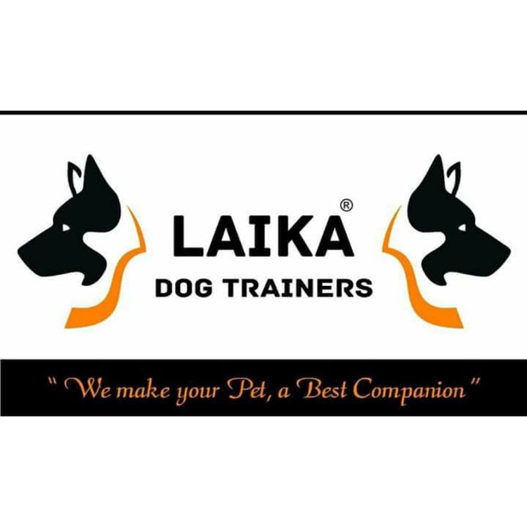 Laika K9 Dog Trainer Chennai
