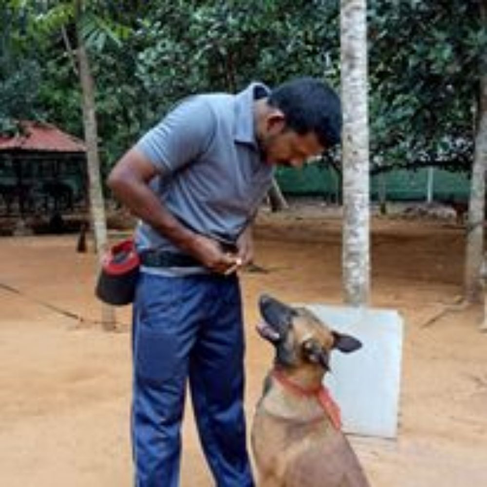 Laika K9 Dog Trainer Chennai
