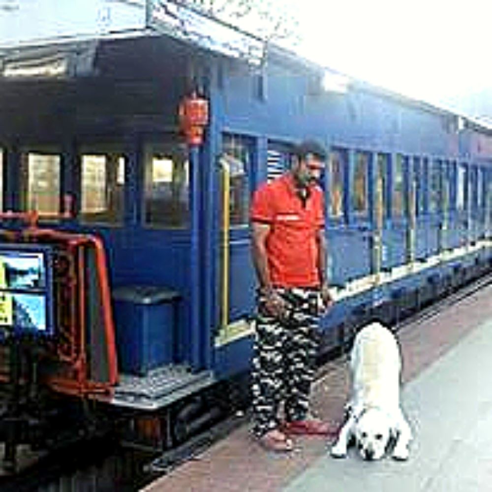 Laika K9 Dog Trainer Chennai