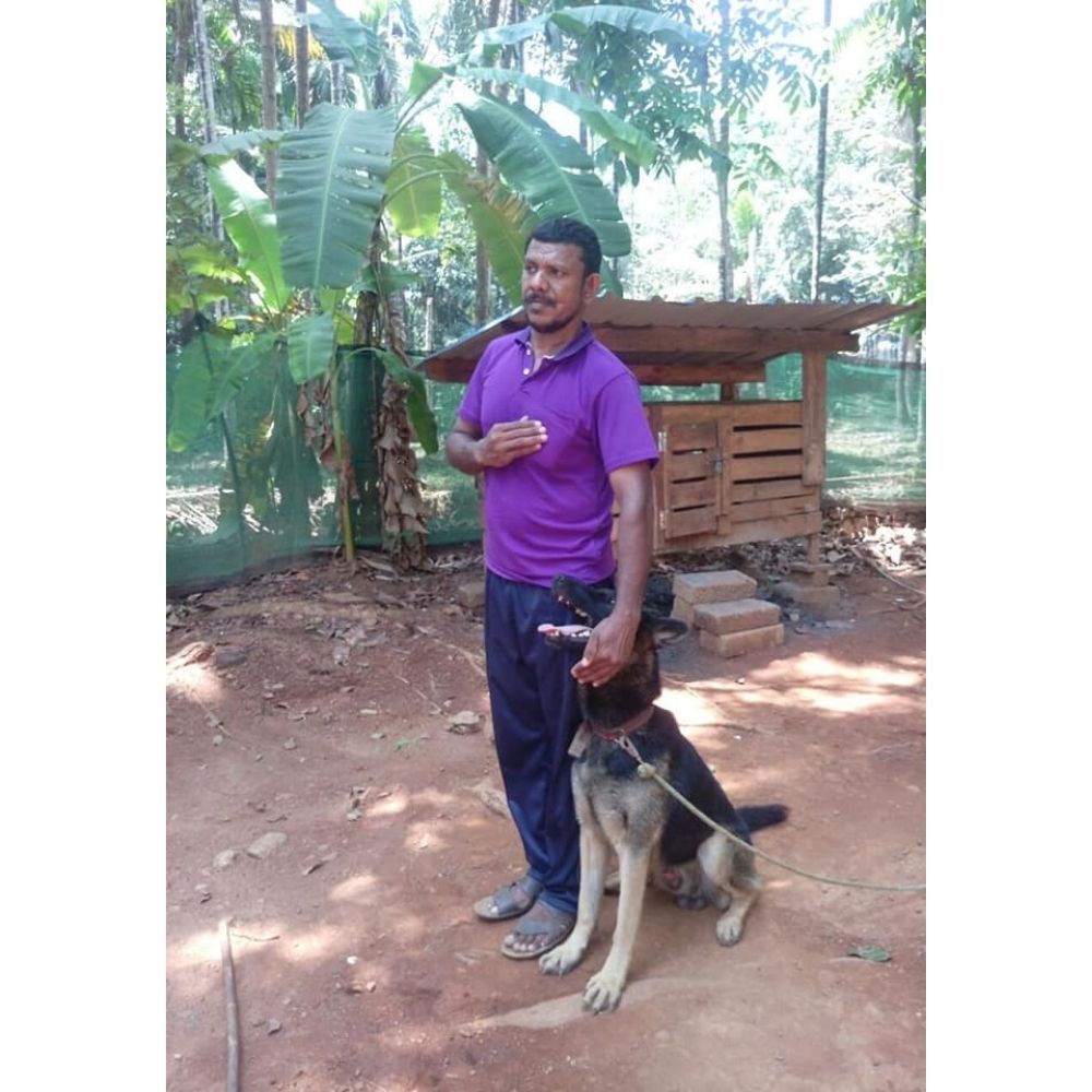 Laika K9 Dog Trainer Chennai