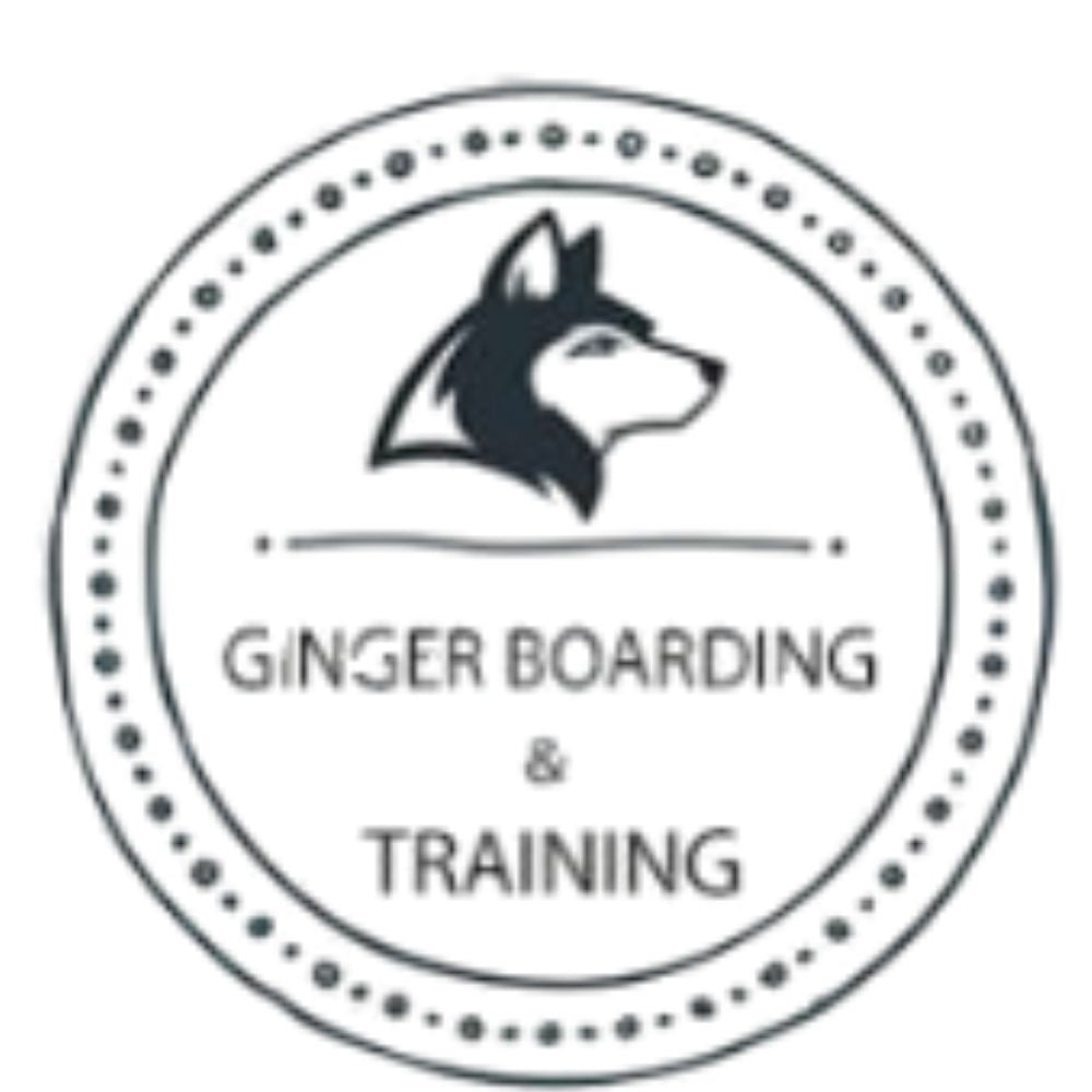 Ginger Pet Boarding & Training Bangalore