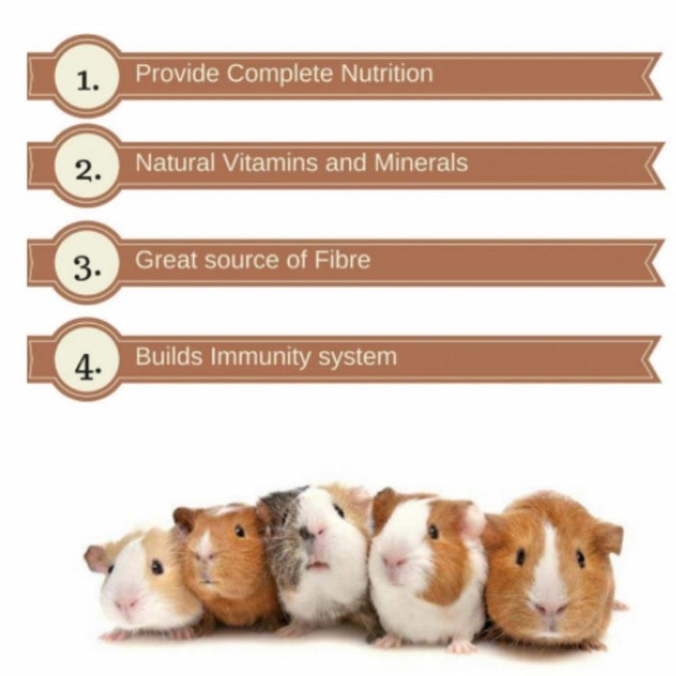 Vitapol Economic Food for Hamster